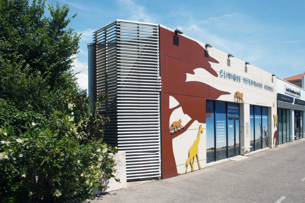 Clinique vétérinaire H
