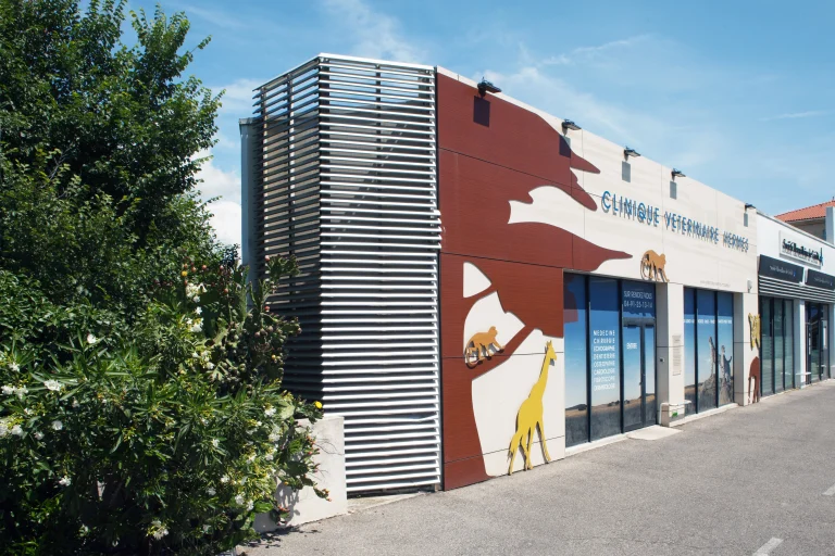 Clinique vétérinaire H